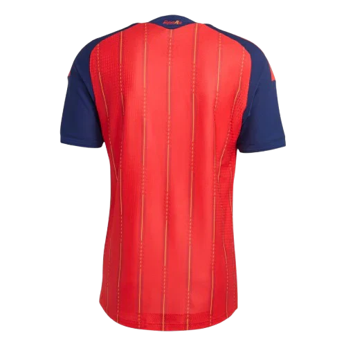 Maillot Espagne domicile 2 étoiles dos