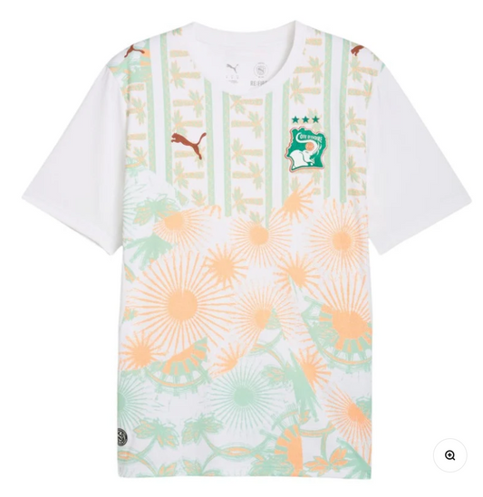 Maillot Côte d'Ivoire Extérieur Coupe Du Monde 2026